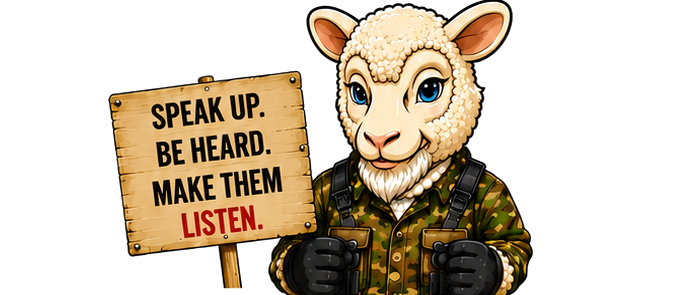 ToysParty Mascot